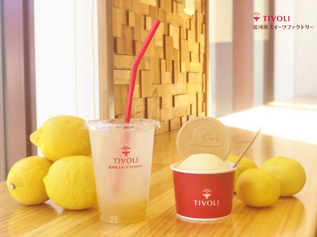 🍋片浦レモネードソーダと湘南ゴールドのジェラート登場🍨