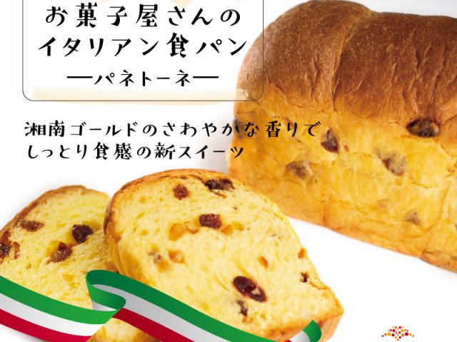 ＼しっとりもっちりとしたパネトーネ風「イタリアン食パン🍞」 ／